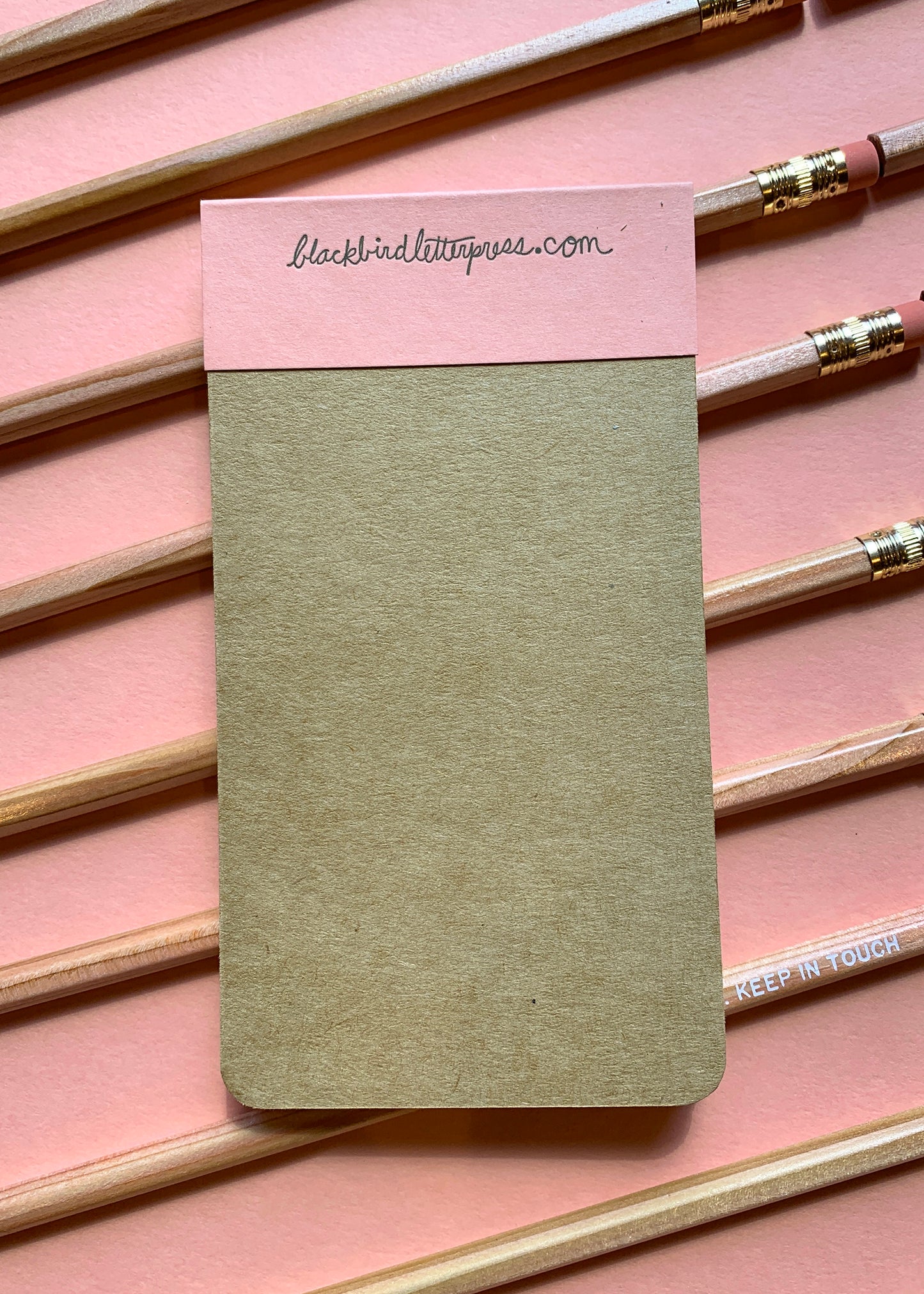 Blackbird Letterpress モンステラ ジョッターメモ