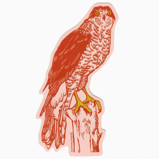 Northern Hawk Sticker
