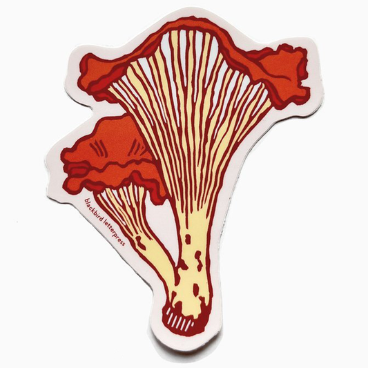 Chanterelle Sticker